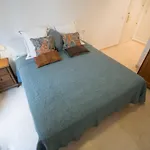New Luxury Conde de Ibarra